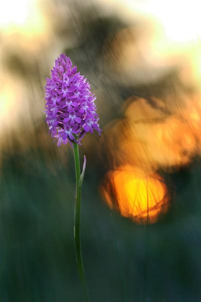 sprzątanie biura Poznań ceny