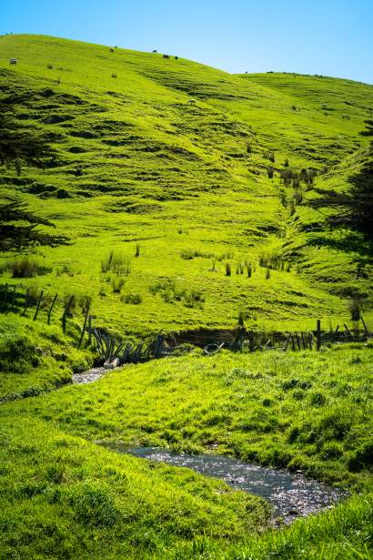 księgowość Ostrzeszów