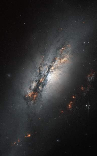 kosmetyczki Piła najtaniej