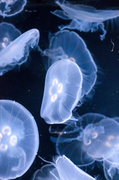 panele fotowoltaiczne Wrocław