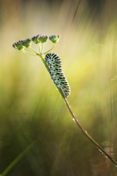 biuro podatkowe Kraków