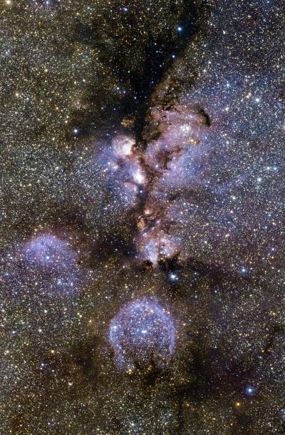 Poznań sprzątanie firmy cena