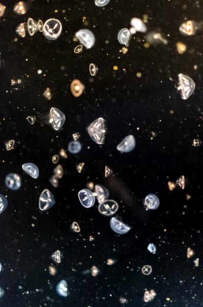 panele fotowoltaiczne Wrocław