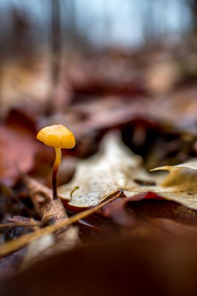 księgowość Kraków